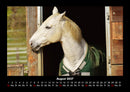 Die Welt der Pferde Fotokalender 2027 - 8