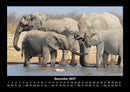 Der Elefantenkalender Fotokalender 2027 - 12