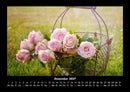 Rosentraum Fotokalender 2027 - 12