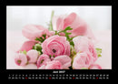 Rosentraum Fotokalender 2027 - 6