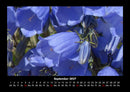 Pflanzen und Blüten Fotokalender 2027 - 9