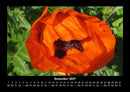 Pflanzen und Blüten Fotokalender 2027 - 12