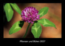 Pflanzen und Blüten Fotokalender 2027 - Hauptbild