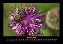 Pflanzen und Blüten Fotokalender 2027 - 2