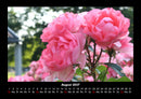Pflanzen und Blüten Fotokalender 2027 - 8