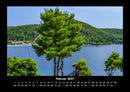 Bäume Fotokalender 2027 - 2