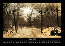 Bäume Fotokalender 2027 - 3