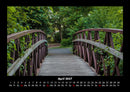 Bäume Fotokalender 2027 - 4