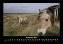 Pferdetraum Fotokalender 2027 - 11