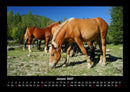 Pferdetraum Fotokalender 2027 - 1