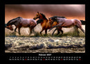 Pferdetraum Fotokalender 2027 - 2
