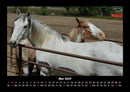 Pferdetraum Fotokalender 2027 - 5