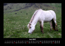 Pferdetraum Fotokalender 2027 - 6