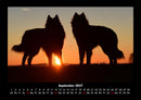 Hunde Fotokalender 2027 - 9