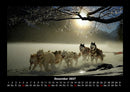 Hunde Fotokalender 2027 - 12