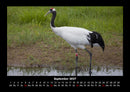 Welt der Tiere Fotokalender 2027 - 9