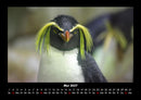Welt der Tiere Fotokalender 2027 - 5