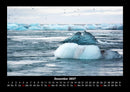 Vögel Fotokalender 2027 - 12