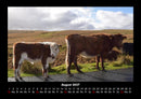 Kuhkalender Fotokalender 2027 - 8