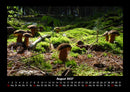 Pilzkalender Fotokalender 2027 - 8