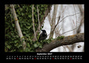 Bilder aus der Natur Fotokalender 2027 - 9