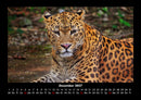 Tierkalender Fotokalender 2027 - 12