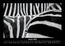 Tierkalender Fotokalender 2027 - 1