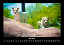 Tierkalender Fotokalender 2027 - 5
