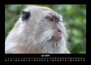 Bali Fotokalender 2027 - 7