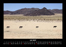 Die Welt der Pferde Fotokalender 2027 - 7