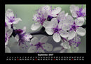 Blumenkalender Fotokalender 2027 - 9