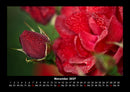 Blumenkalender Fotokalender 2027 - 11