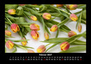 Blumenkalender Fotokalender 2027 - 2