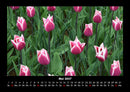 Blumenkalender Fotokalender 2027 - 5