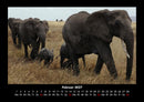 Elefanten Fotokalender 2027 - 2