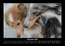 Hunde Fotokalender 2027 - 12