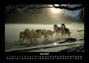 Hunde Fotokalender 2027 - 6