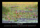 Rosentraum Fotokalender 2027 - 2