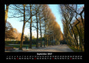 Bäume Fotokalender 2027 - 9