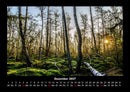Bäume Fotokalender 2027 - 12