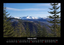Bäume Fotokalender 2027 - 2