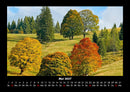 Bäume Fotokalender 2027 - 5
