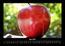 Obstkalender Fotokalender 2027 - 5