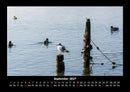Seeblick Fotokalender 2027 - 9