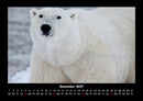 Tiere in der Wildnis Fotokalender 2027 - 12