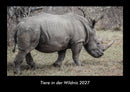 Tiere in der Wildnis Fotokalender 2027 - Hauptbild