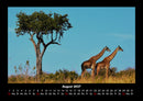Tiere in der Wildnis Fotokalender 2027 - 8