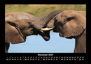 Der Elefantenkalender Fotokalender 2027 - 11
