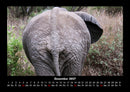 Der Elefantenkalender Fotokalender 2027 - 12