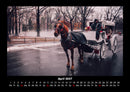 Die Welt der Pferde Fotokalender 2027 - 4